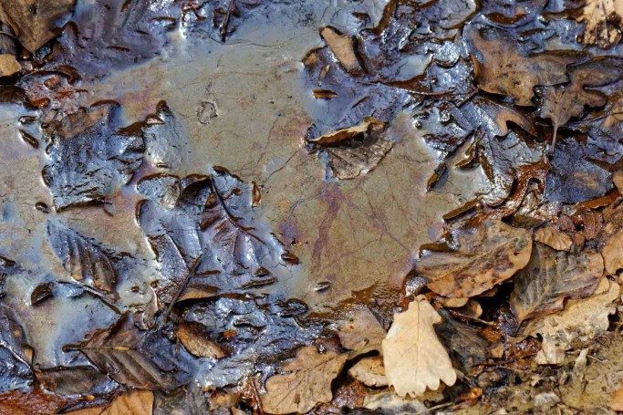 oil pollution